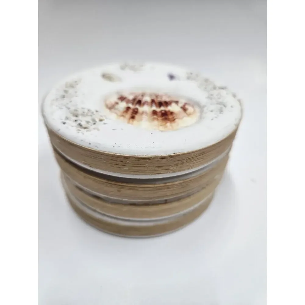 4 Beach Coasters Coastal Decor Seashells Sand Sea Glass 4.25” Round Cork Back